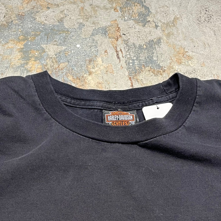 古着Harley-Davidson/ハーレー ダビッドソン/スキップフォーダイス/RIVERSIDE,CA/プリントTシャツ/サイズXL