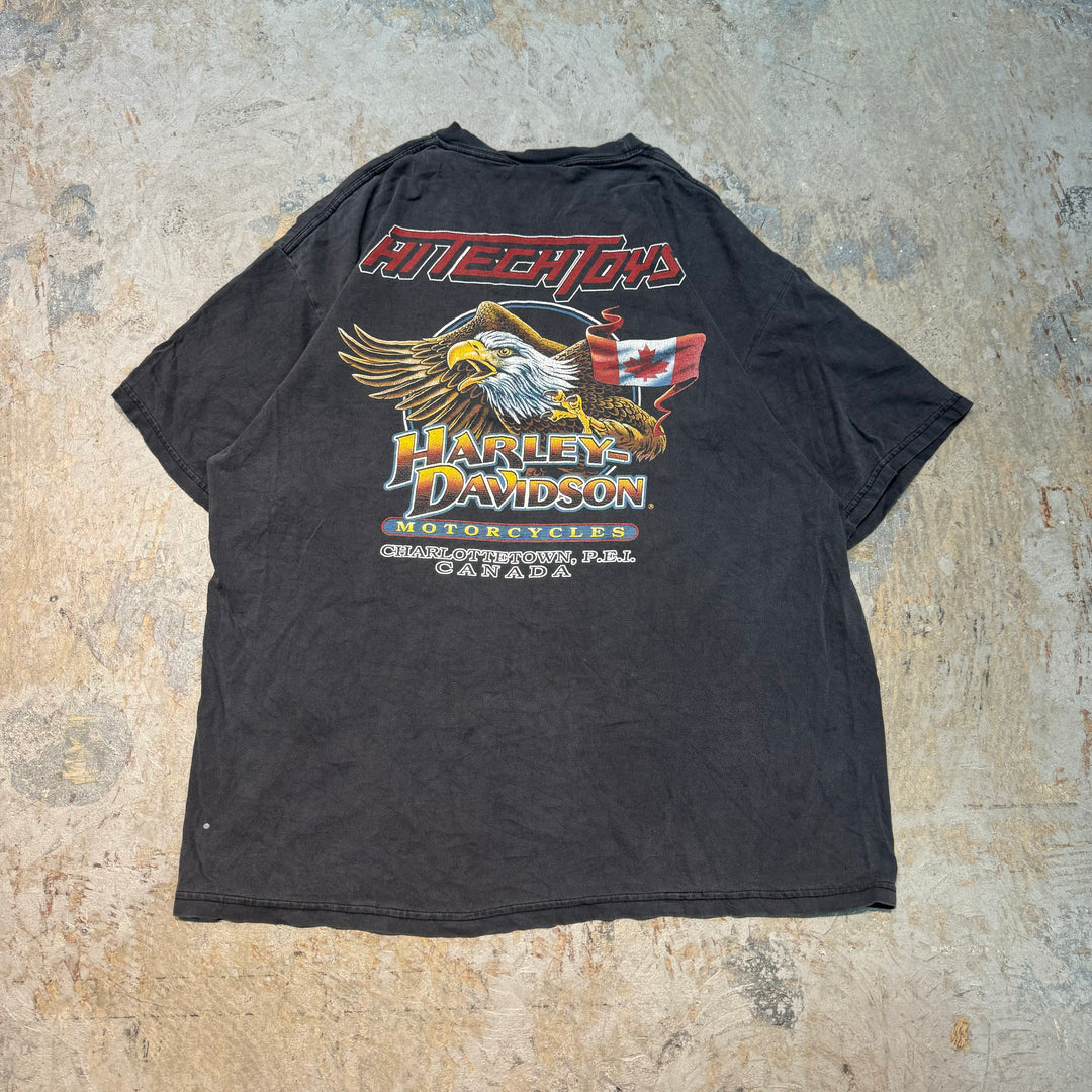 二手衣服Harley-Davidson/哈雷戴维森/印花T恤/尺寸L相当