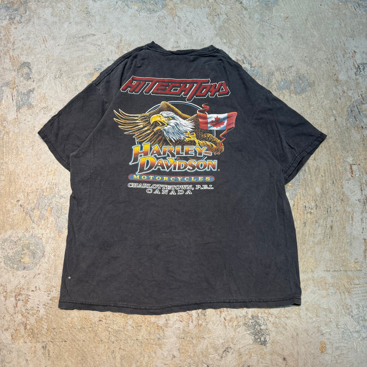 二手衣服Harley-Davidson/哈雷戴维森/印花T恤/尺寸L相当