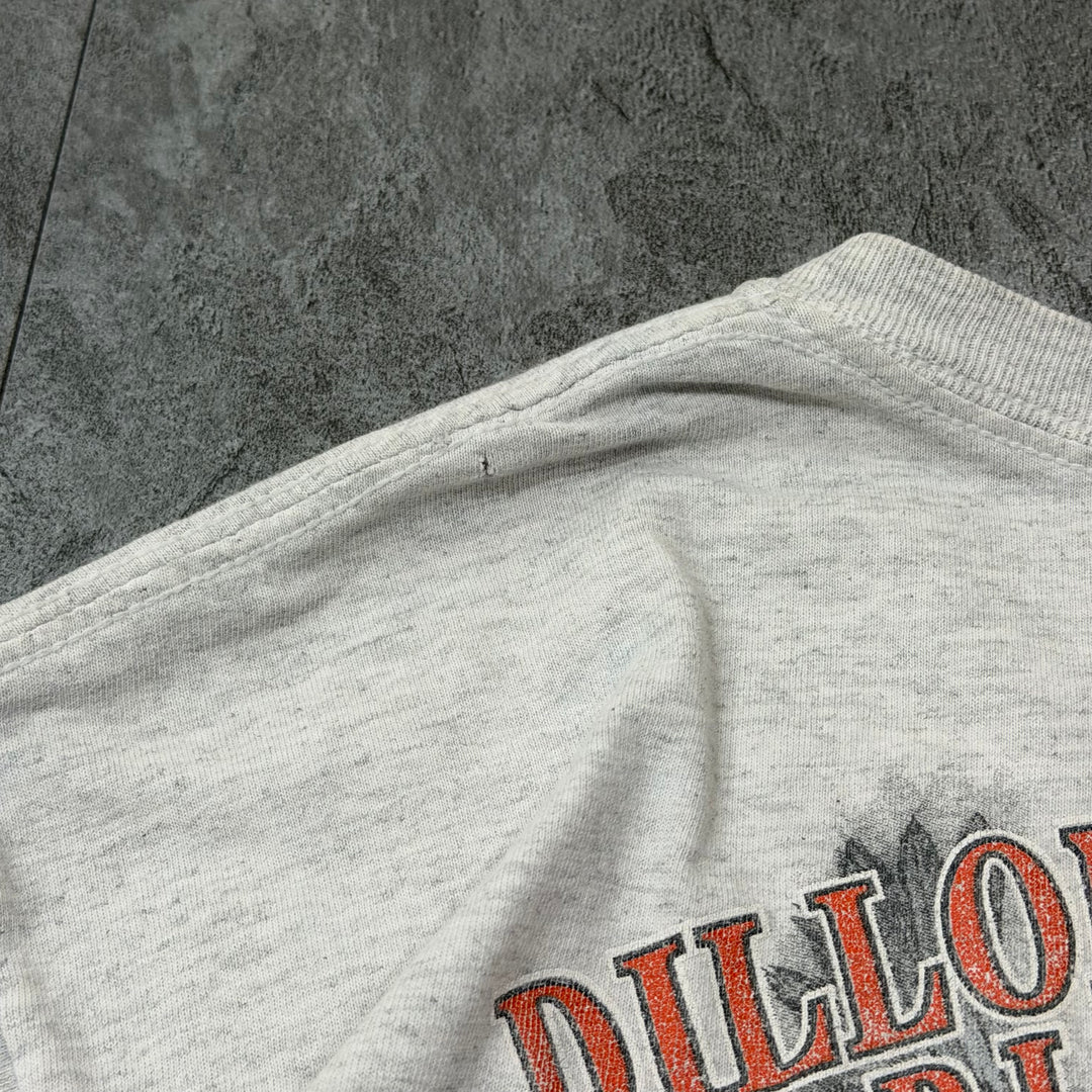 古着 Harley-Davidson/ハーレーダビッドソン/ プリントTシャツ/ サイズM