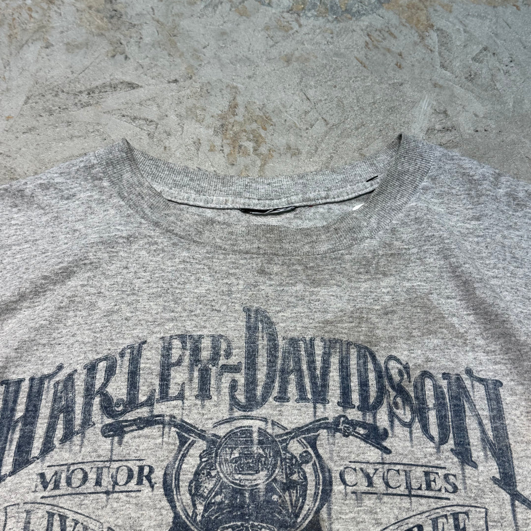 二手衣服Harley-Davidson/哈雷戴维森/印花T恤/尺寸L相当