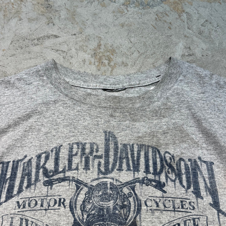 二手衣服Harley-Davidson/哈雷戴维森/印花T恤/尺寸L相当