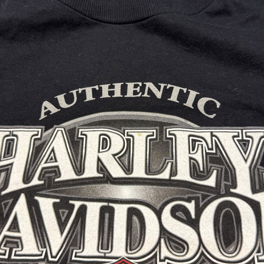 旧衣服Harley-Davidson/哈雷戴维森/印花T恤/尺码XL
