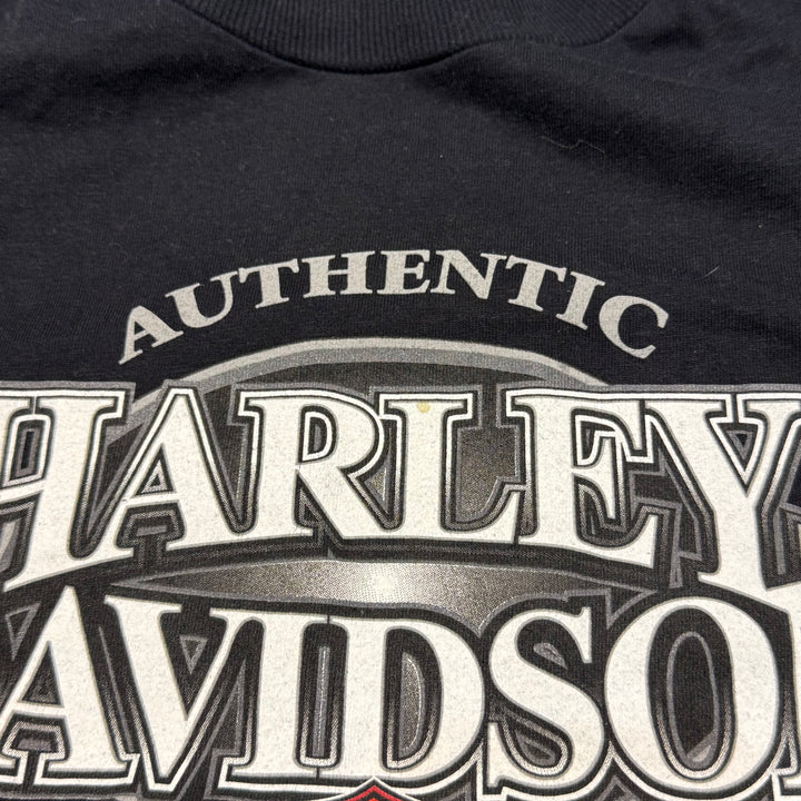 旧衣服Harley-Davidson/哈雷戴维森/印花T恤/尺码XL
