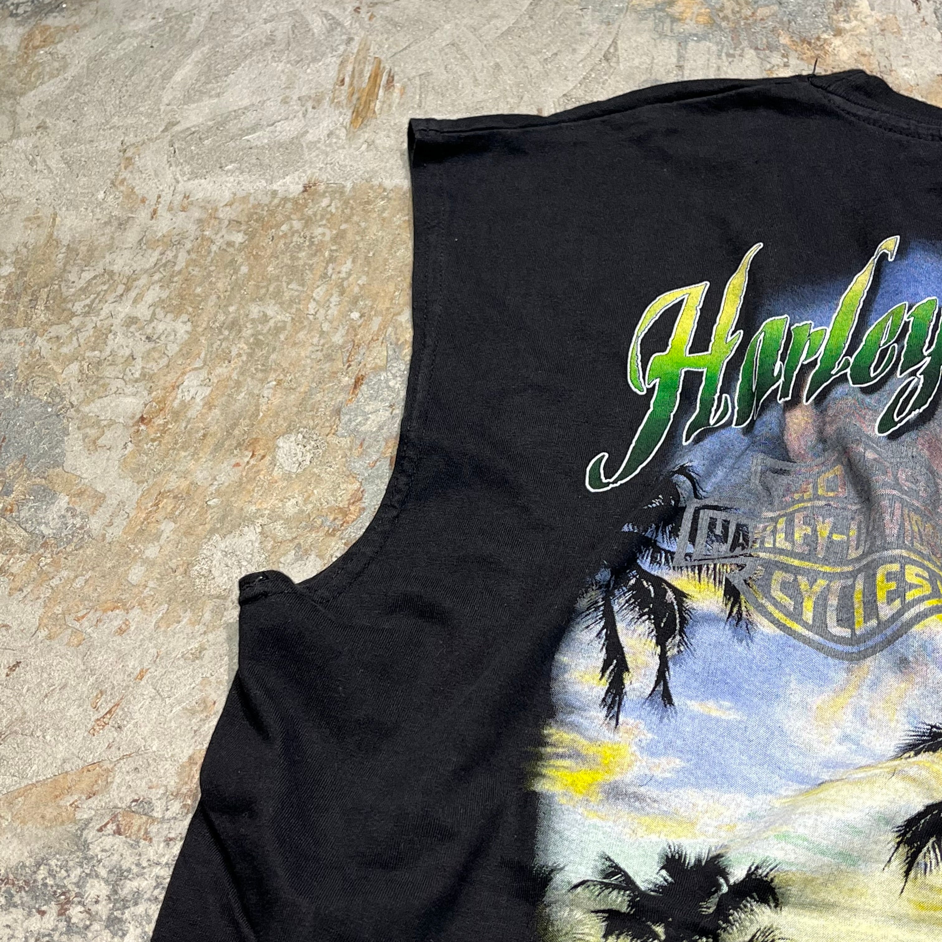 古着 ハーレーダビッドソン サウスカロライナ Ｔシャツ ブラック L 楽天市場】HARLEY-DAVIDSON ハーレーダビッドソン Tシャツ