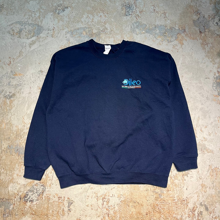 #1880 Vintage clothes/GILDAN/Crewneck sweat/Size XL