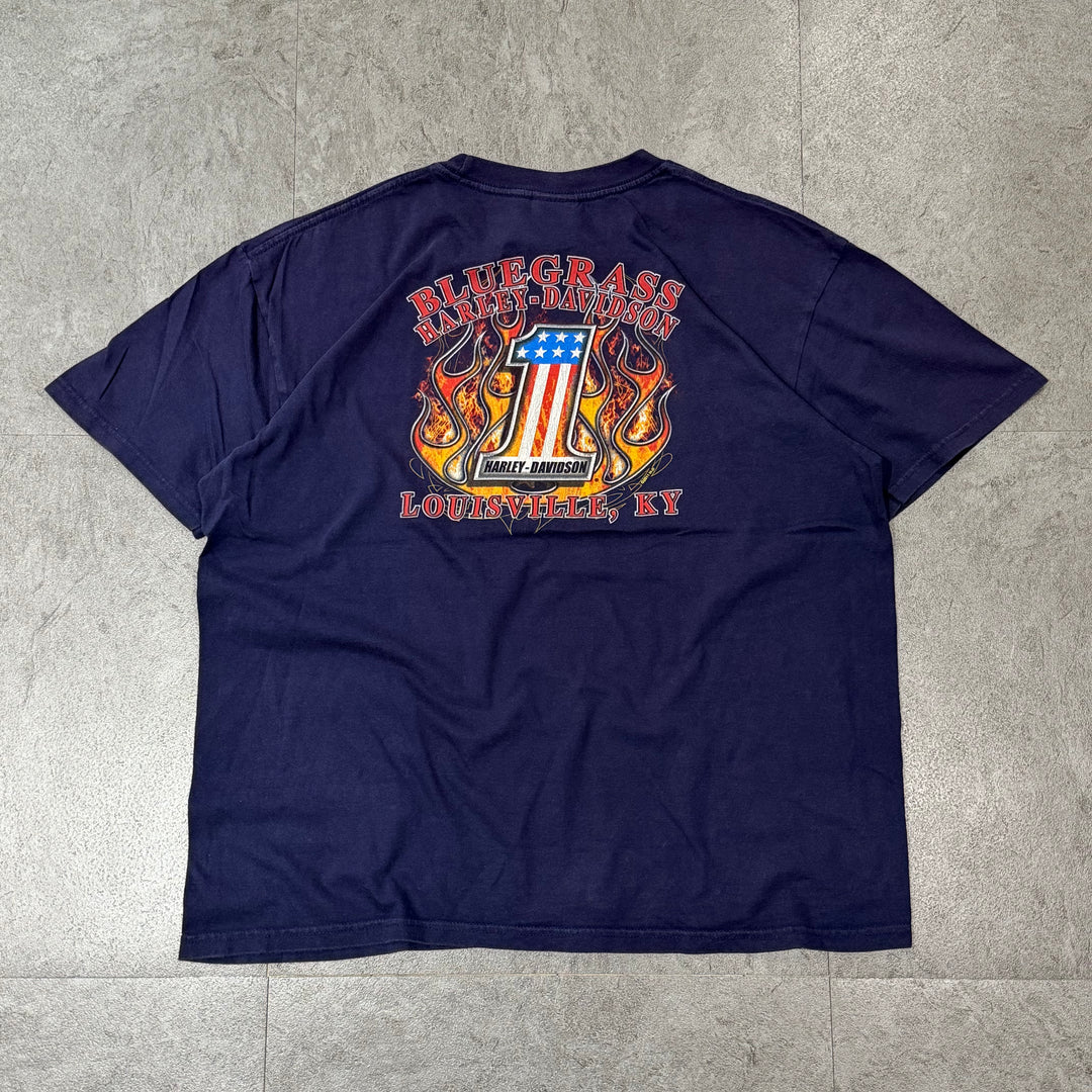 古着 Harley-Davidson/ハーレーダビッドソン/ プリントTシャツ/ サイズXL