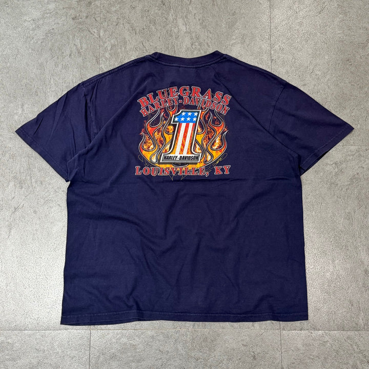 古着 Harley-Davidson/ハーレーダビッドソン/ プリントTシャツ/ サイズXL