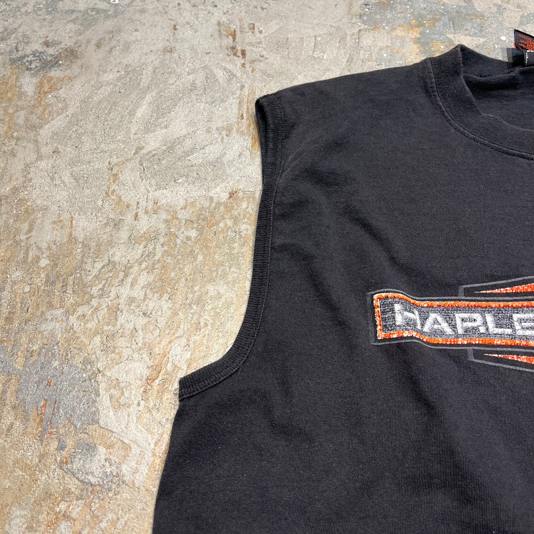 古着 USA製 Harley-Davidson/ハーレー ダビッドソン ミネソタ州 フェアリボー プリントTシャツ サイズL