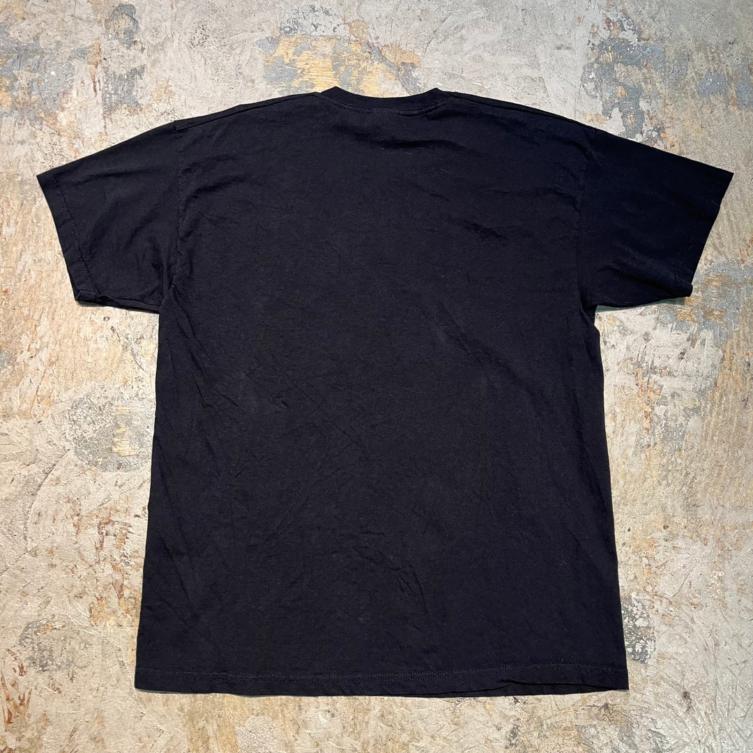 Used clothing FRUIT OF THE LOOM/Fruit of the Room/Print T-shirt/Size L