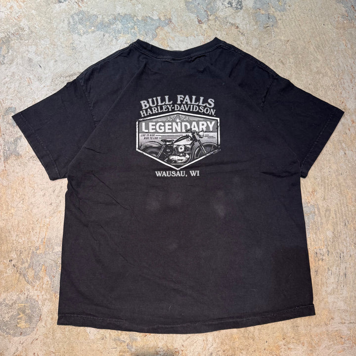 古着 Harley-Davidson/ハーレーダビッドソン/ プリントTシャツ/ サイズL相当