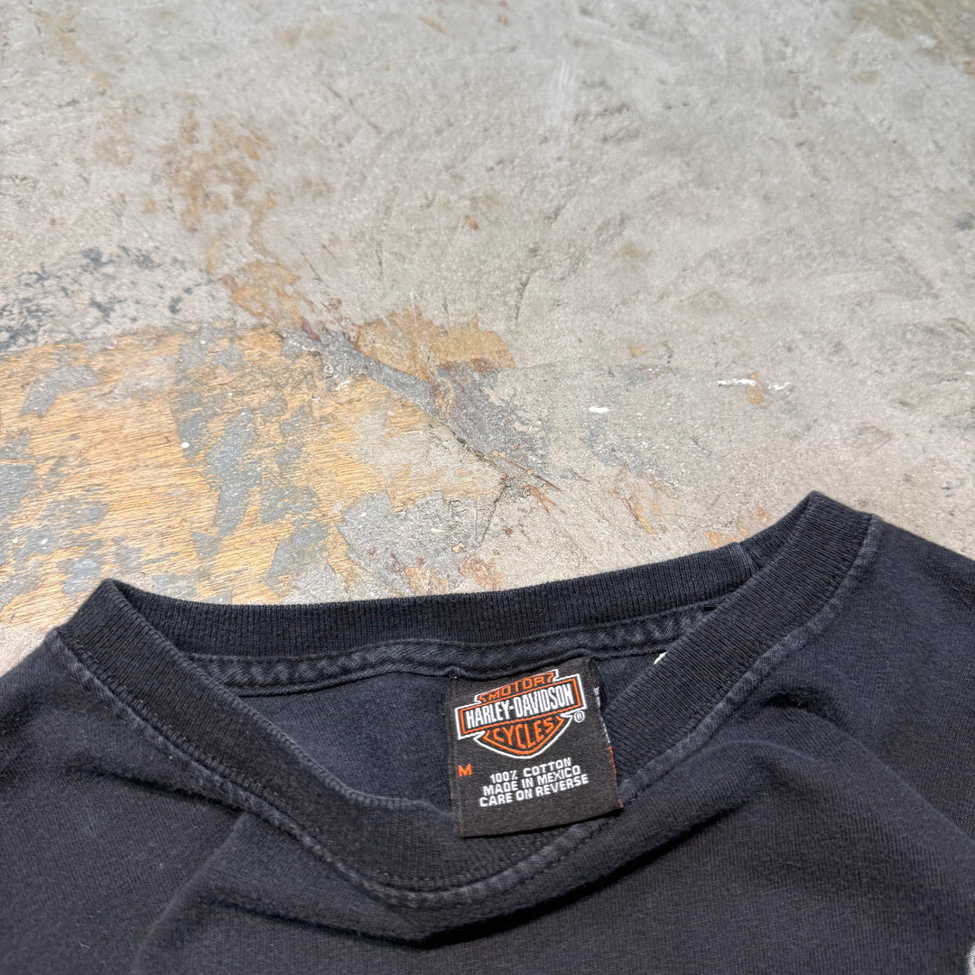 古着 Harley-Davidson/ハーレーダビッドソン/ プリントTシャツ/ サイズM
