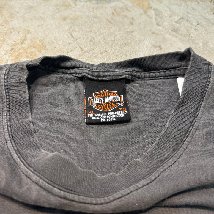 二手衣服Harley-Davidson/哈雷戴维森/印花T恤/尺寸L相当