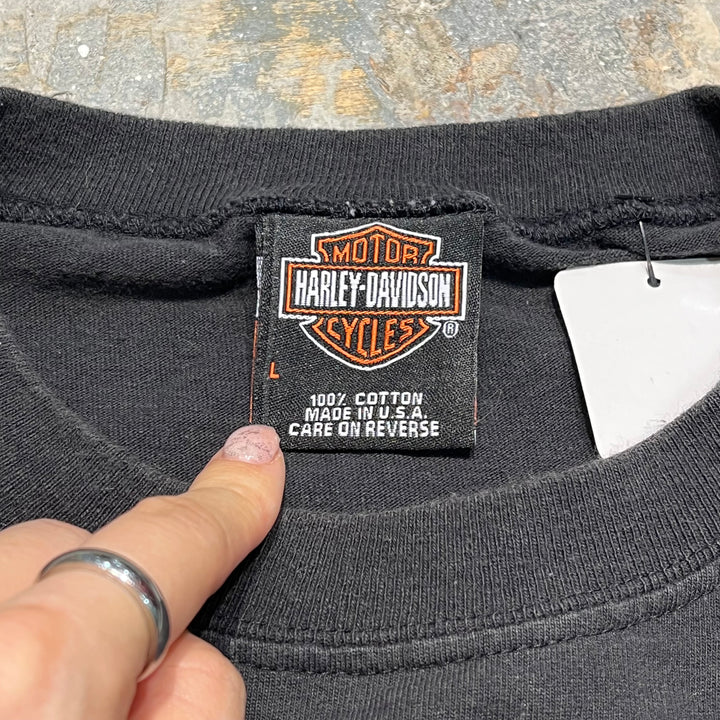 古着 USA製 Harley-Davidson/ハーレー ダビッドソン ミネソタ州 フェアリボー プリントTシャツ サイズL