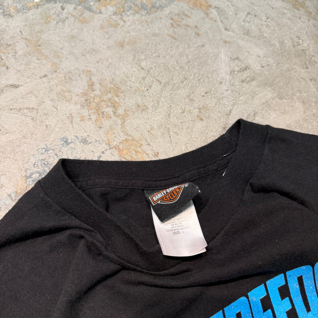 古着 Harley-Davidson/ハーレーダビッドソン/ プリントTシャツ/ MARVEL/ サイズL