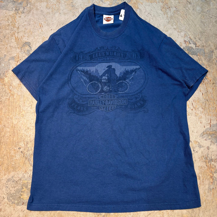 古着 Harley-Davidson/ハーレーダビッドソン/ プリントTシャツ/ サイズM相当