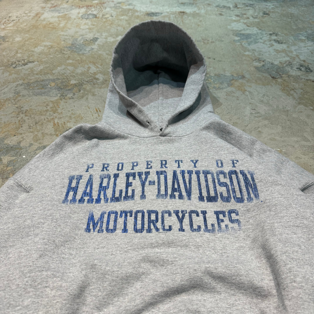 古着 HARLEY-DAVIDSON/ハーレーダビットソン/スウェットプルオーバーパーカー/ウィスコンシン州ライス･レイク/サイズXL