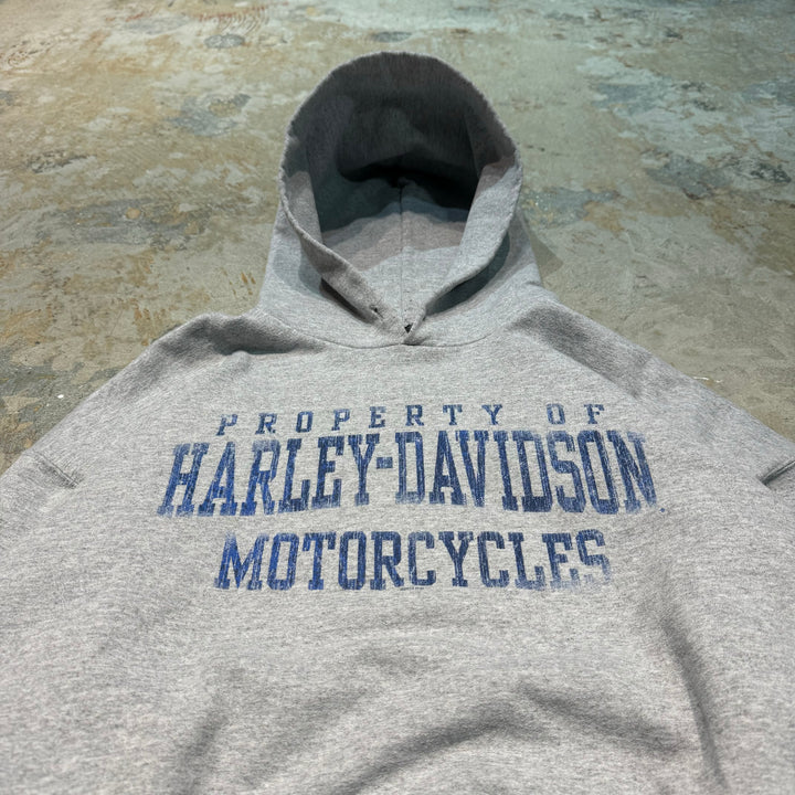 古着 HARLEY-DAVIDSON/ハーレーダビットソン/スウェットプルオーバーパーカー/ウィスコンシン州ライス･レイク/サイズXL