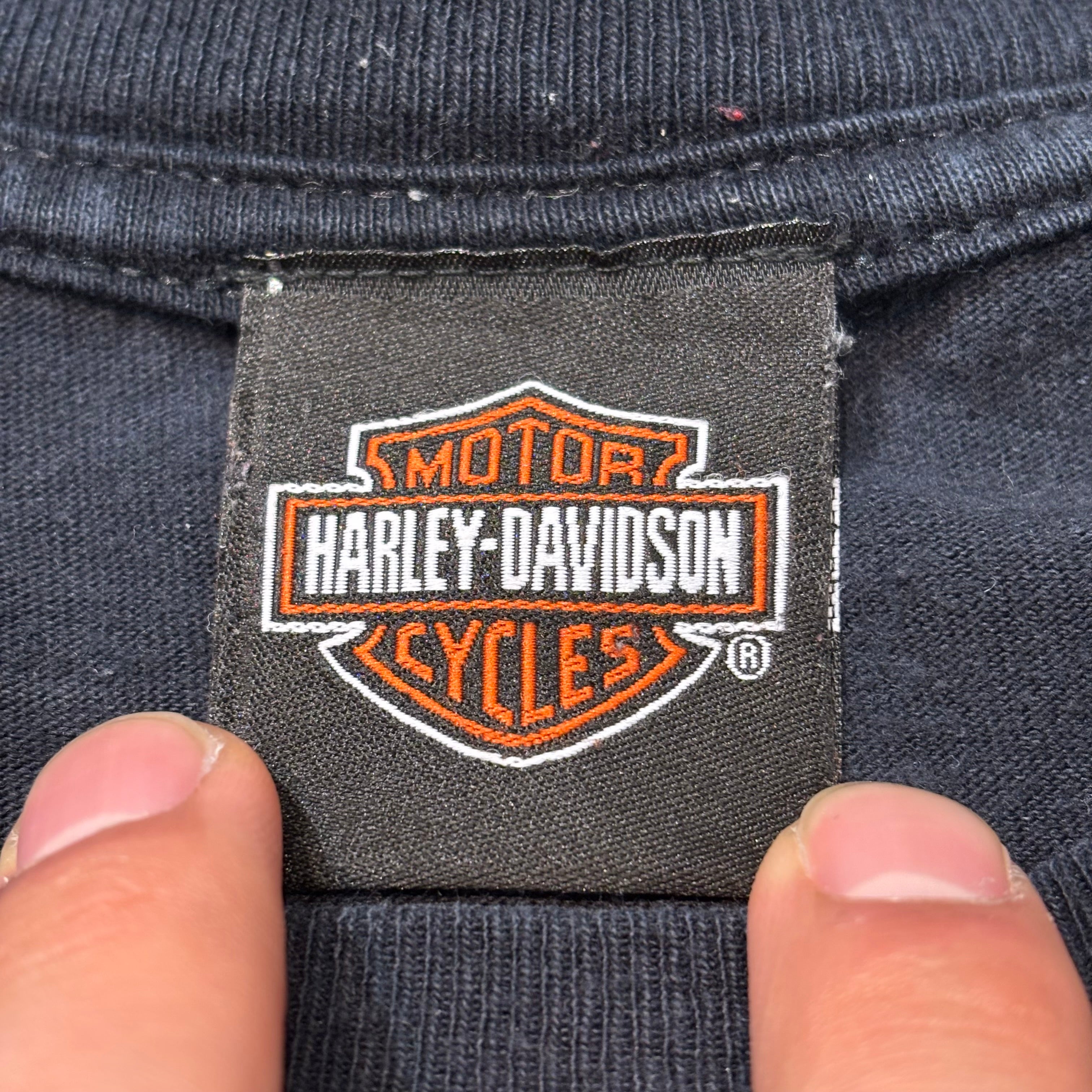 古着 Harley-Davidson/ハーレーダビッドソン/ プリントロング