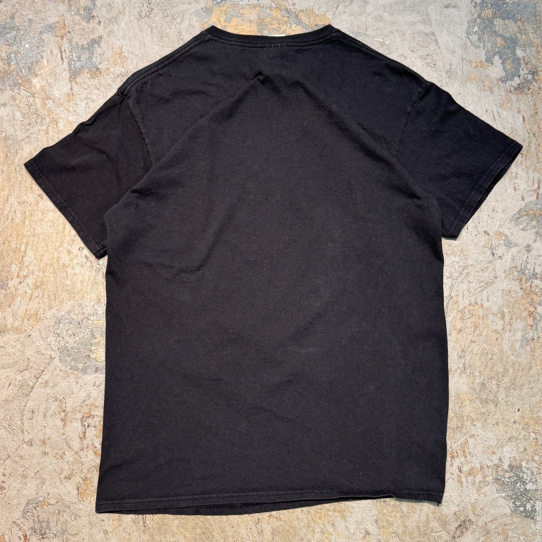 古着 USAVINTAGE/ 猫/ プリントTシャツ/ サイズM