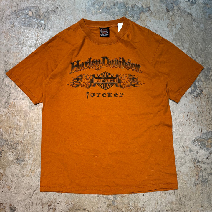 二手衣服Harley-Davidson/哈雷戴维森/印花T恤/尺码L