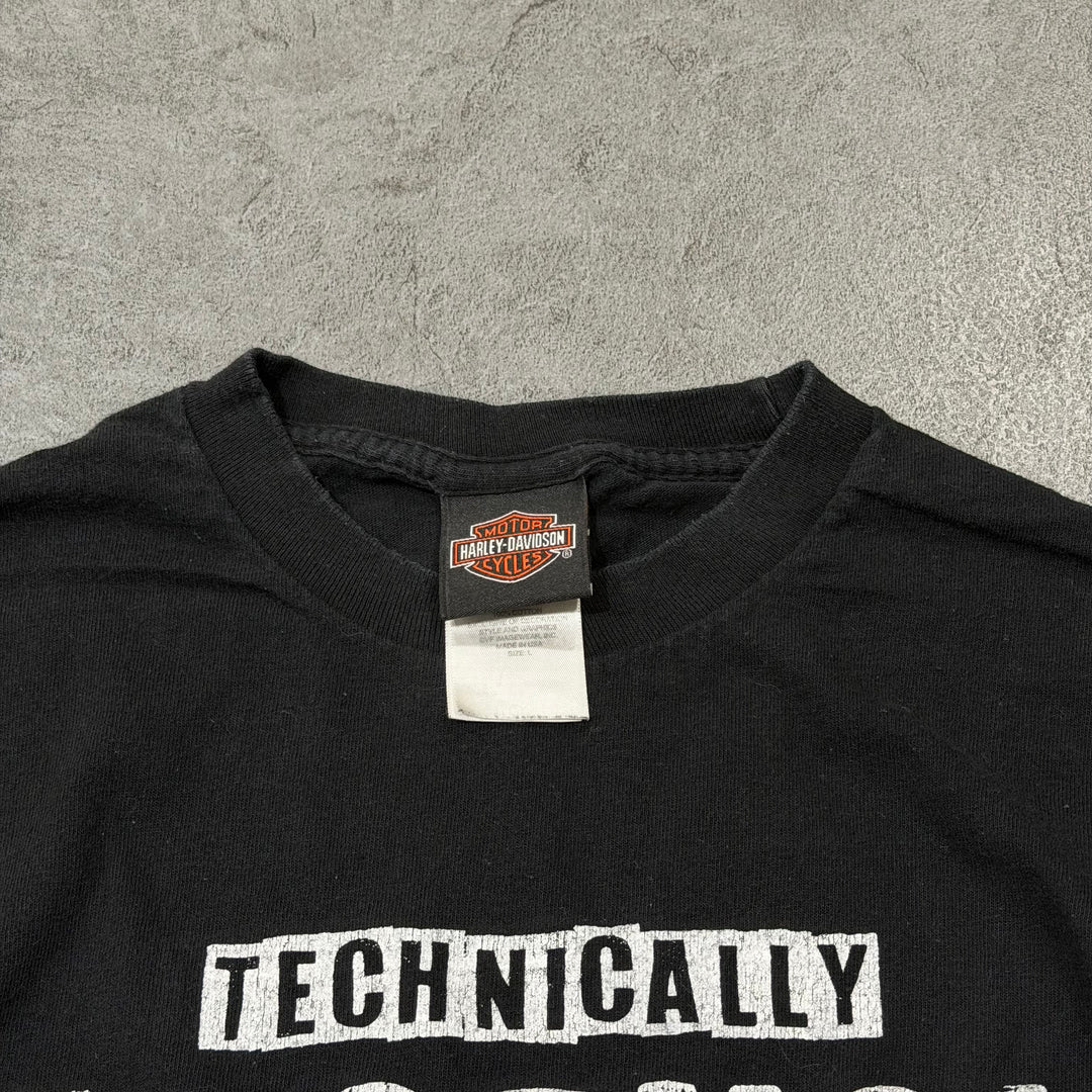 古着 USA製 Harley-Davidson/ハーレーダビッドソン/ プリントTシャツ/ サイズL
