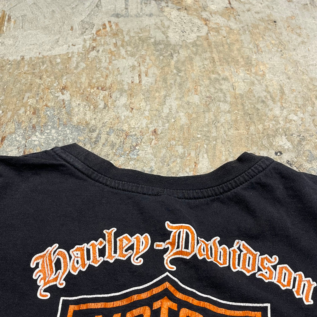 古着 Harley-Davidson/ハーレー ダビッドソン トルコ共和国 プリントTシャツ サイズL相当