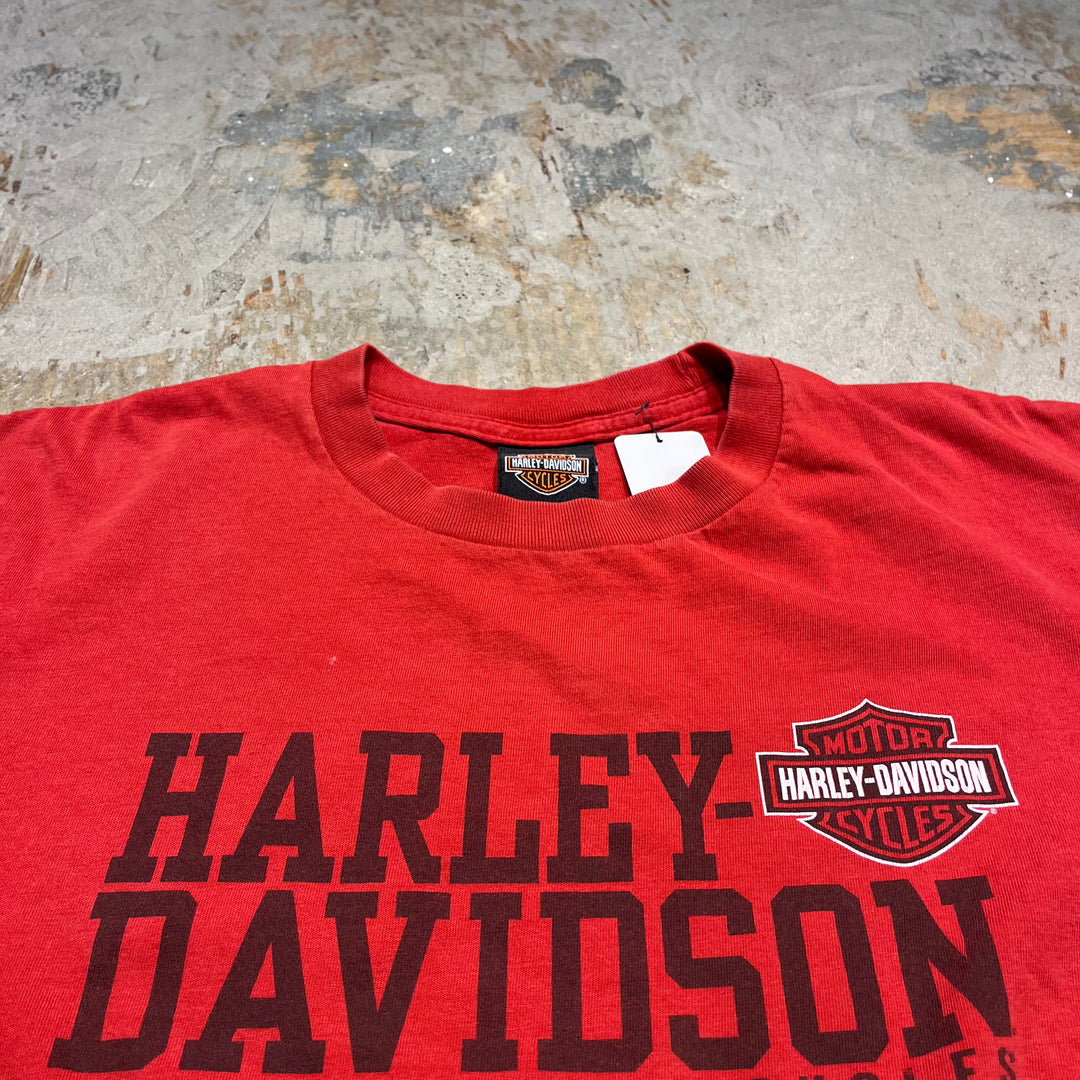 古着 Harley-Davidson/ハーレー ダビッドソン ジョージア州 サバンナ プリントTシャツ サイズL