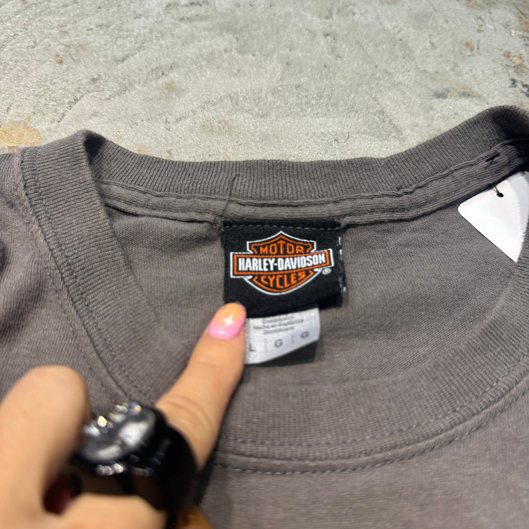 二手衣服Harley-Davidson/哈雷戴维森/印花T恤/尺码L