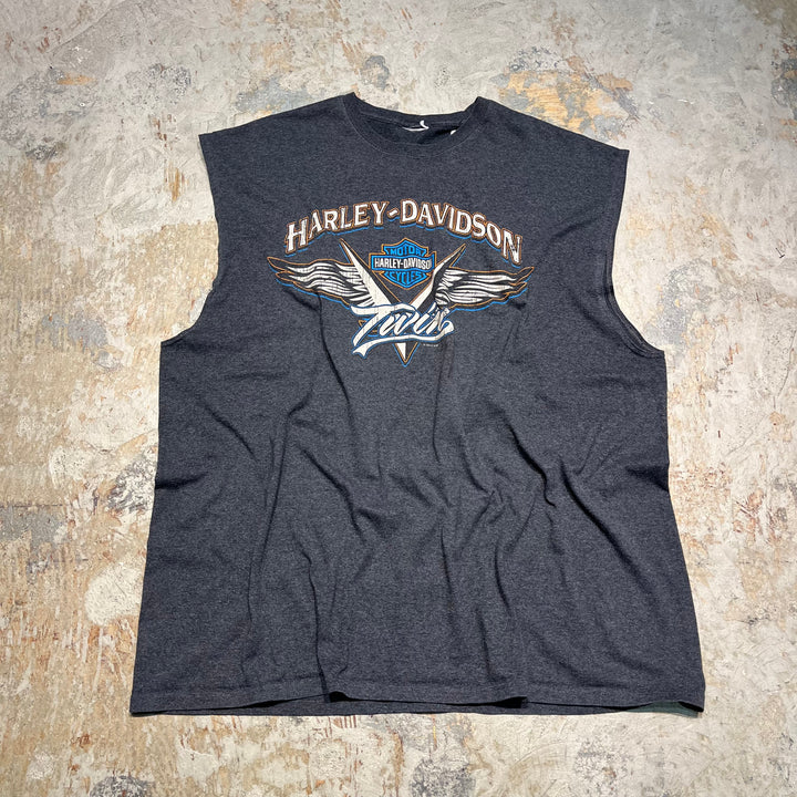 古着 Harley-Davidson/ハーレー ダビッドソン カリフォルニア州 カマリロ プリントTシャツ サイズXXXL相当