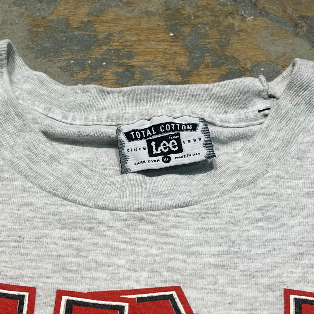 古着 USA製 93's Lee/リー/シカゴ・ブルズ/ワーナーブラザーズ/NBA/ヴィンテージ プリントTシャツ/サイズXL