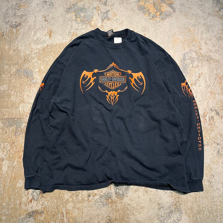 古着 USA製 Harley-Davidson/ハーレー ダビッドソン マサチューセッツ州 ボストン 長袖Tシャツ サイズXXL