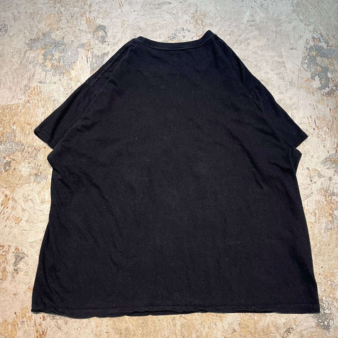 古着 USAVINTAGE / プリンス／パープル・レイン/ アーティストTシャツ/ サイズL相当