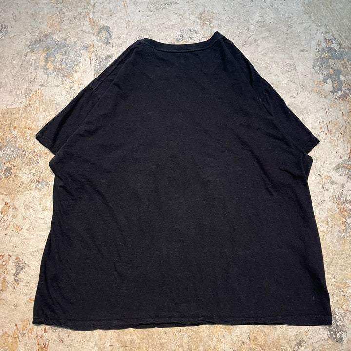 古着 USAVINTAGE / プリンス／パープル・レイン/ アーティストTシャツ/ サイズL相当
