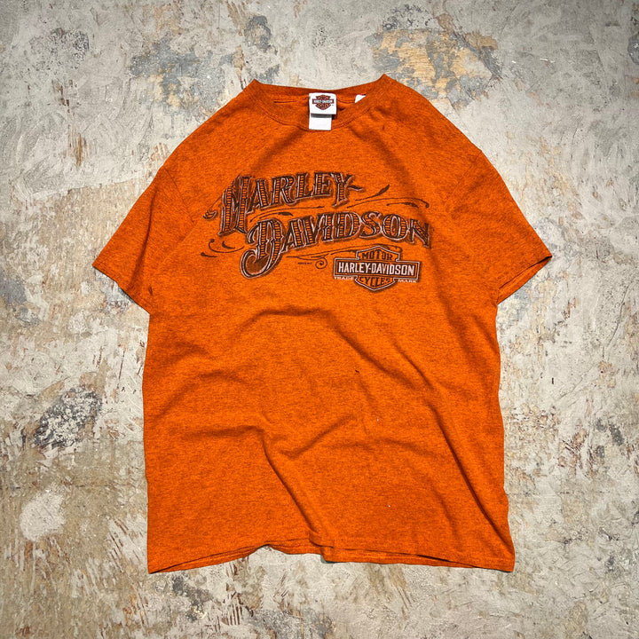 古着 Harley-Davidson  /ハーレー ダビッドソン / カリフォルニア州 サンフランシスコ ダドリー･パーキンス ストア / プリントTシャツ / サイズL