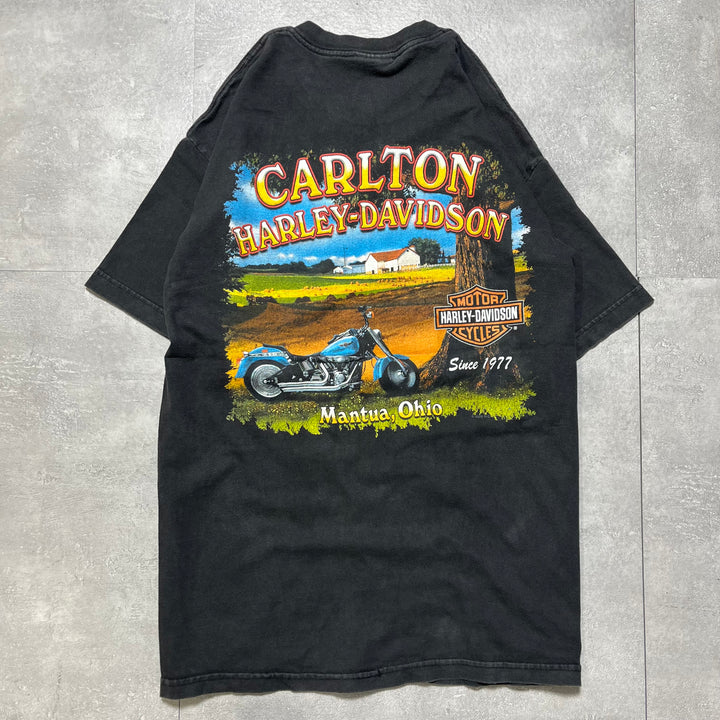 古着 USA製 Harley-Davidson/ハーレーダビッドソン/ プリントTシャツ/ サイズL