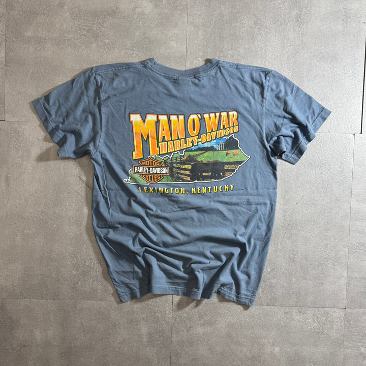 古着 USA製 Harley-Davidson ハーレーダビッドソン プリントTシャツ アメカジ サイズL