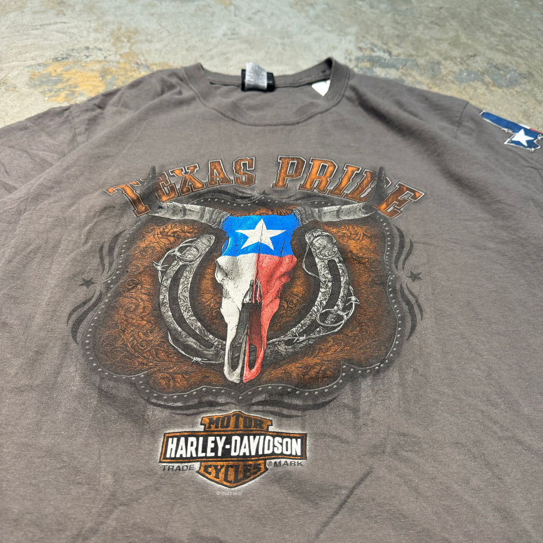 二手衣服Harley-Davidson/哈雷戴维森/印花T恤/尺码L