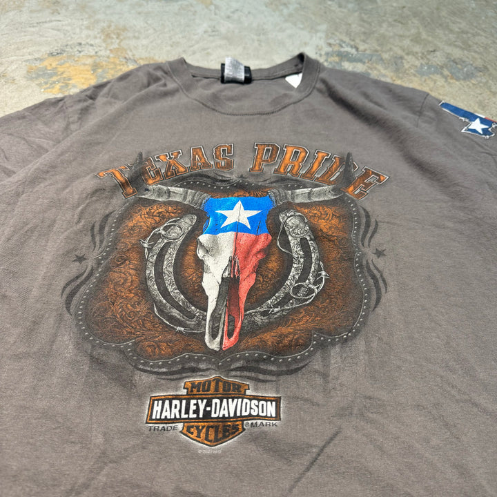 二手衣服Harley-Davidson/哈雷戴维森/印花T恤/尺码L