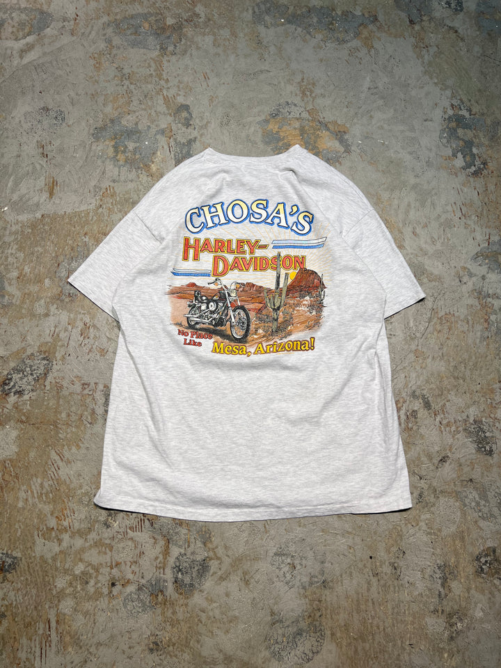 #MA92 古着 USA製 93's Harley-Davidson /ハーレー ダビッドソン / アリゾナ州  / シングルステッチ ヴィンテージ Tシャツ / サイズXL