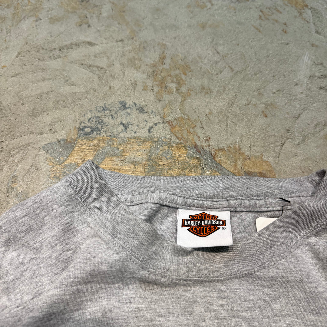 古着 Harley-Davidson/ハーレーダビッドソン/ プリントTシャツ/ サイズXL