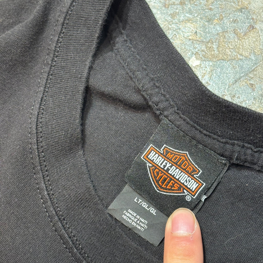 古着 Harley-Davidson/ハーレーダビッドソン/ プリントTシャツ/ サイズL
