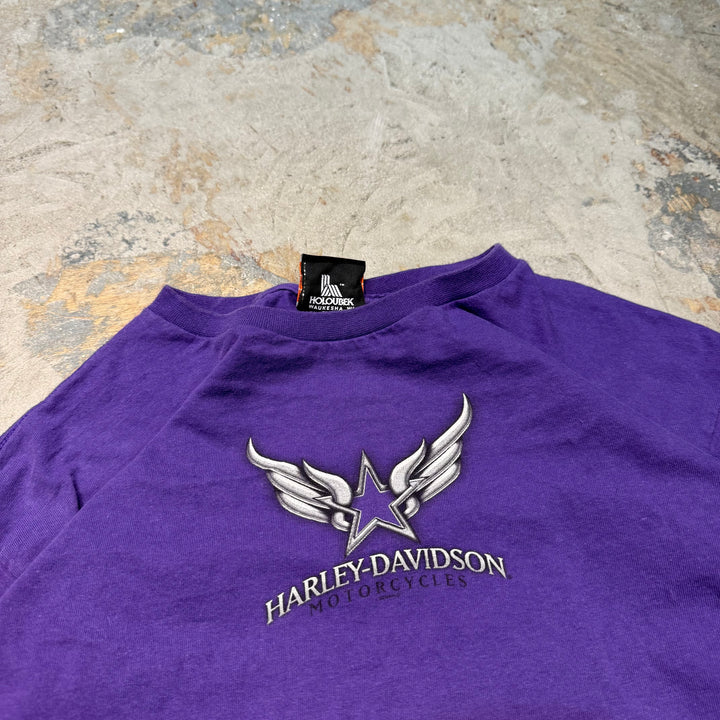 古着 USA製 Harley-Davidson/ハーレーダビッドソン/ プリントロングTシャツ/ XL