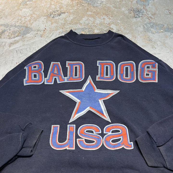 #4091 古着 96's Unknow/Crew neck  College Sweat/クルーネックカレッジスウェット/BAD DOG/サイズXL相当