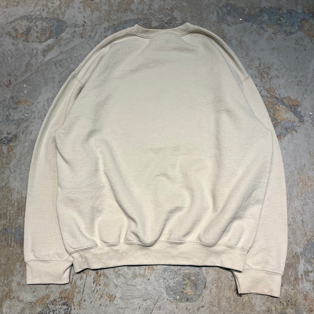 #4062 古着 GILDAN/ギルダン/Crew neck sweat/クルーネックスウェット/ALPHA CHI/サイズ L