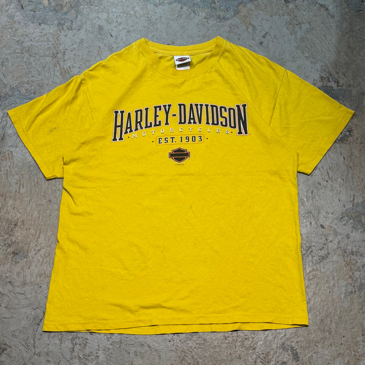 古着 Harley-Davidson/ハーレーダビッドソン/ プリントTシャツ/ サイズL