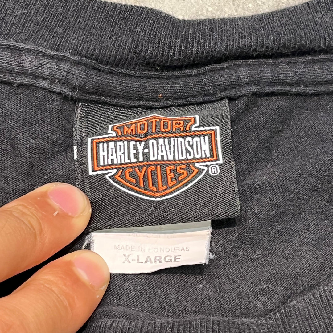 旧衣服Harley-Davidson/哈雷戴维森/印花T恤/尺码XL