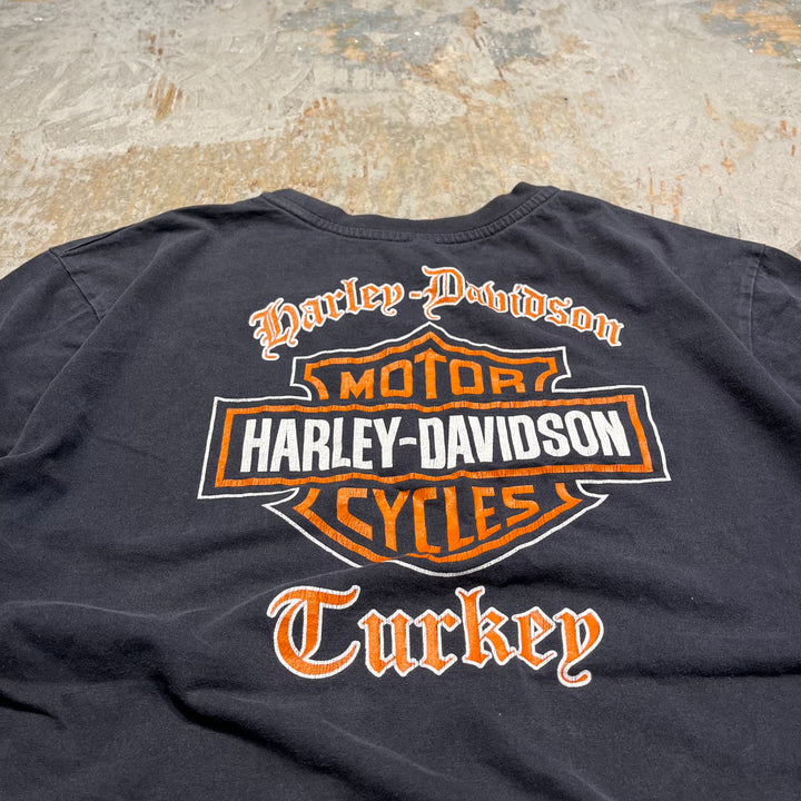 古着 Harley-Davidson/ハーレー ダビッドソン トルコ共和国 プリントTシャツ サイズL相当