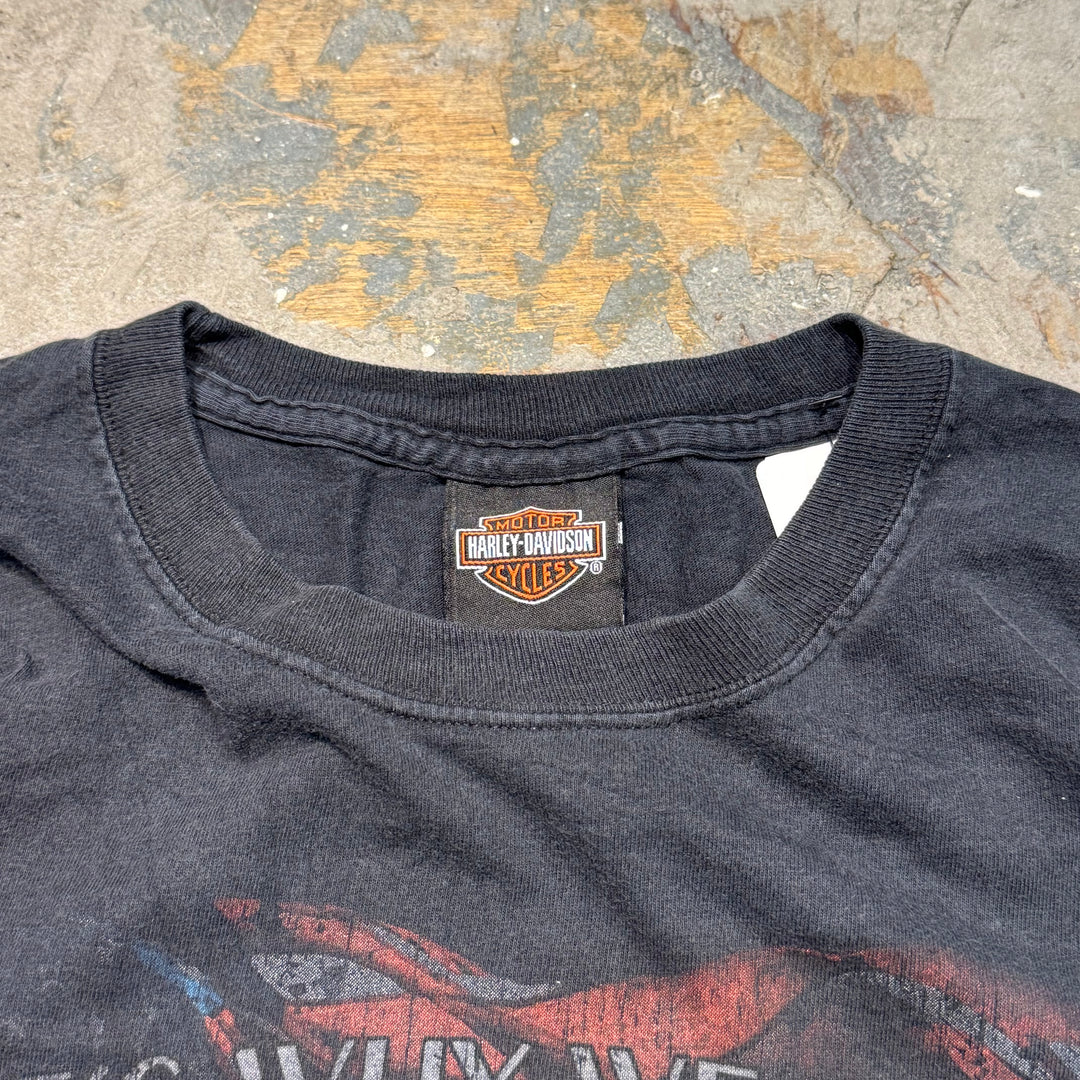 二手衣服Harley-Davidson/哈雷戴维森/印花T恤/尺码L