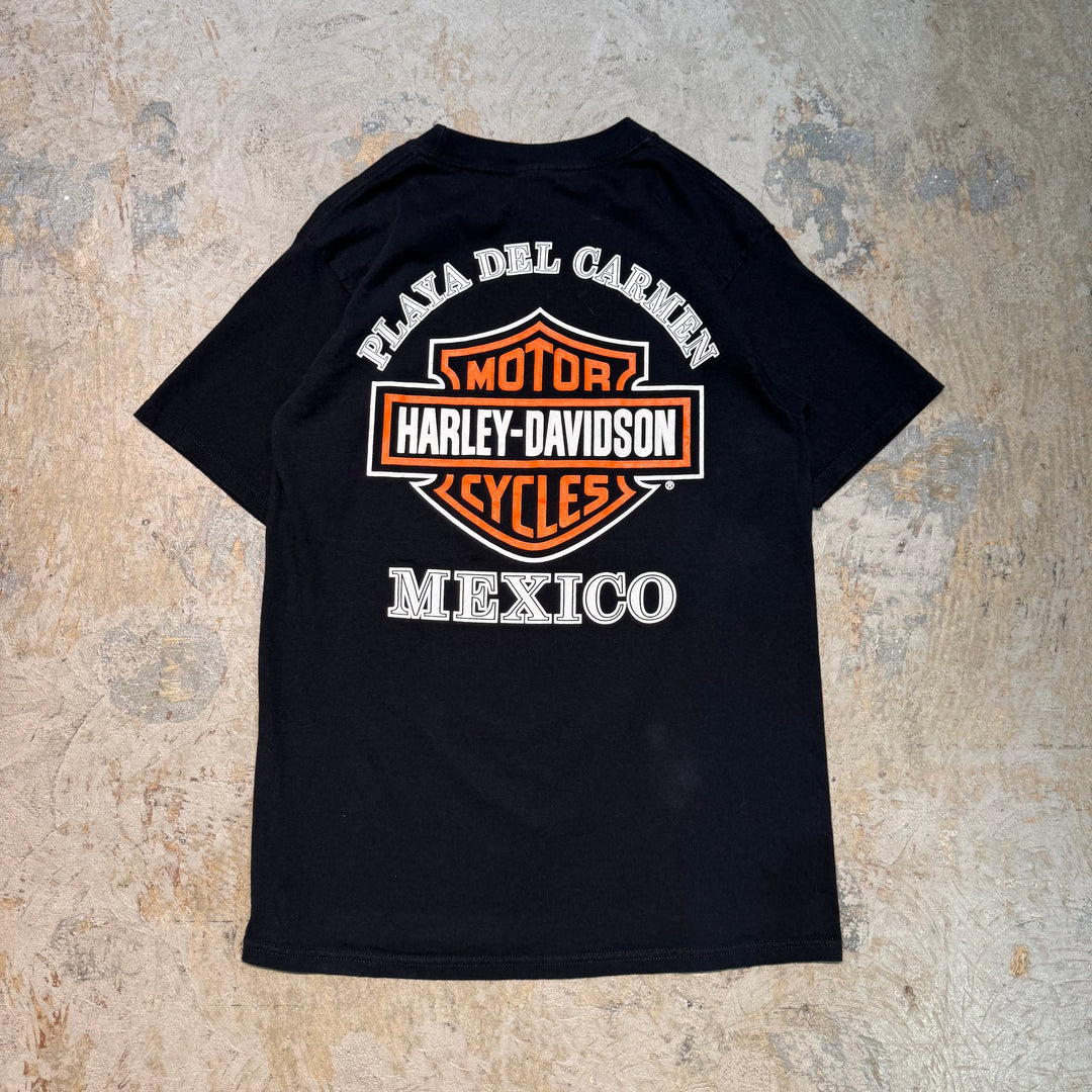 古着 Harley-Davidson/ハーレーダビッドソン/ プリントTシャツ/ サイズL